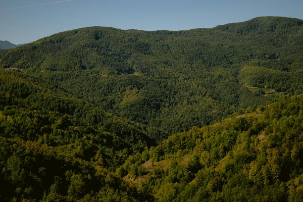 Intégration innovante de la calligraphie arabe dans le design contemporain : Nouvelles perspectives créatives